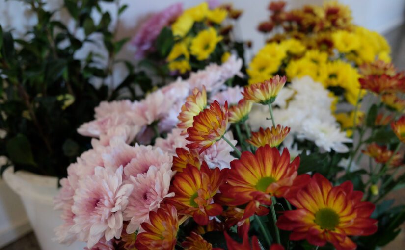 I Bought Flowers for 24 People with A Little Hope to Change Their Lives