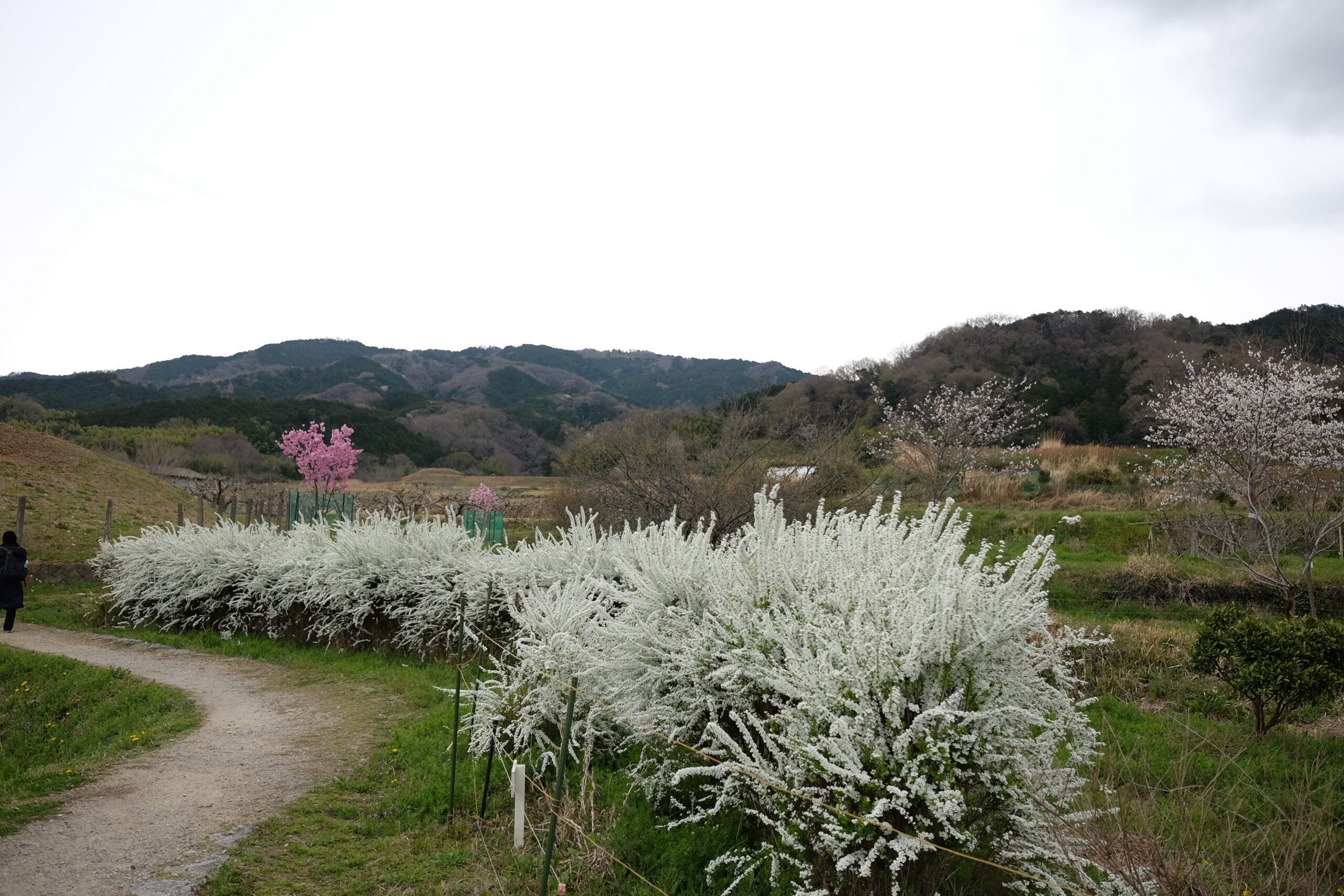 Four Emotions Evoked While Walking Along Japan’s Oldest Road