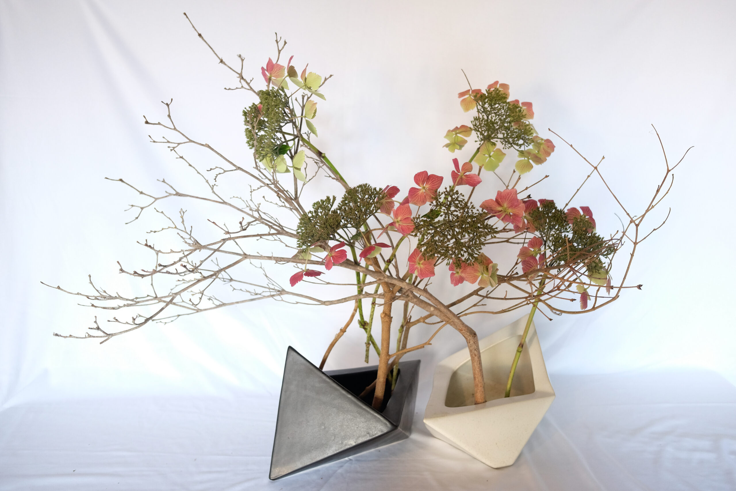 Ask The Right Question for Happiness